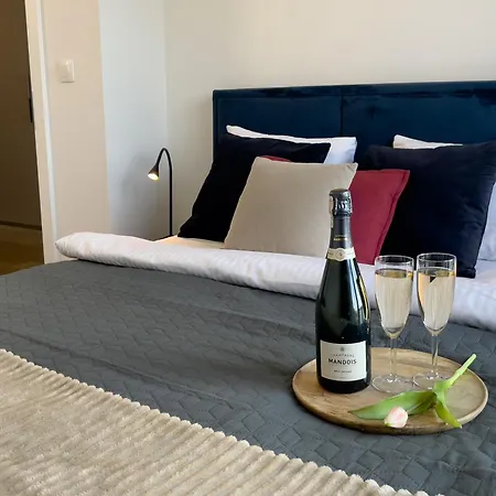 Urban Premium Sokolska 30a Towers No 58, 2 Free Garages, Gym & Sauna, Self Check-in Apartment